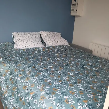 Super Rez De Jardin Avec Extérieur Appartement Lozanne